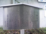 TS3B0136.JPG