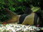 PICT2101.JPG