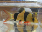 PICT2116.JPG