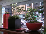 TS3B0273.JPG