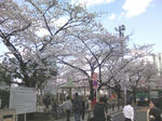 TS3B0421.JPG