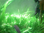 TS3B0505.JPG
