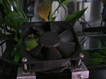 TS3B0535.JPG