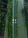 TS3B0589.JPG