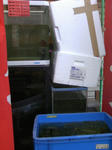 TS3B0806.JPG