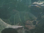 TS3B0826.JPG
