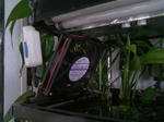 TS3B1014.JPG