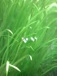 TS3B1082.JPG