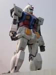 TS3B1131.JPG