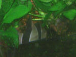 TS3B1140.JPG