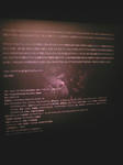TS3B1230.JPG