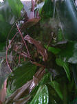 TS3B1663.JPG