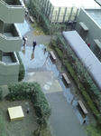 721ae383.JPG