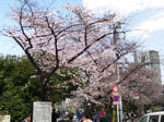a959999b.JPG