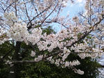 032a52c5.JPG