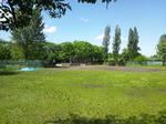 523d4169.JPG