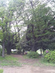 6a74127a.JPG
