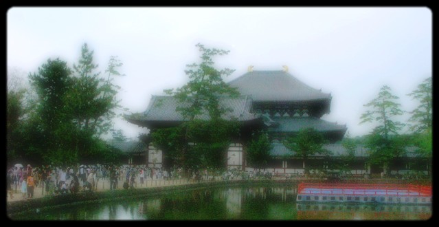 奈良公園旁的東大寺