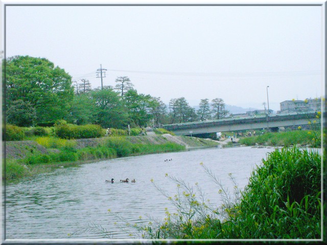 鴨川