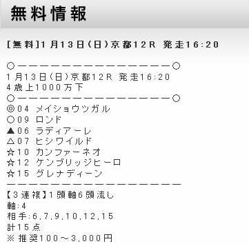 投資de競馬13日無料情報