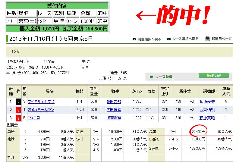 競馬ニュースの的中実績