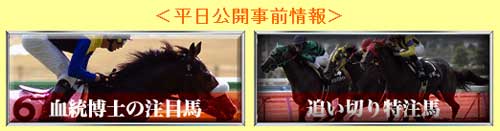 競馬ニュースの無料情報