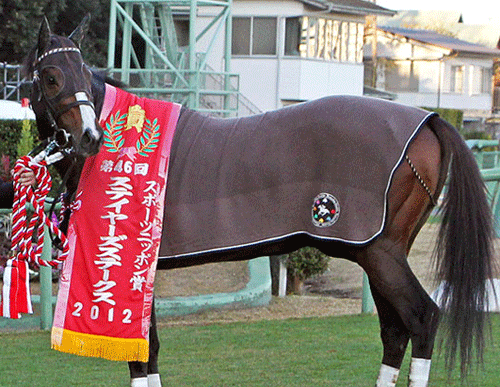 トウカイトリック