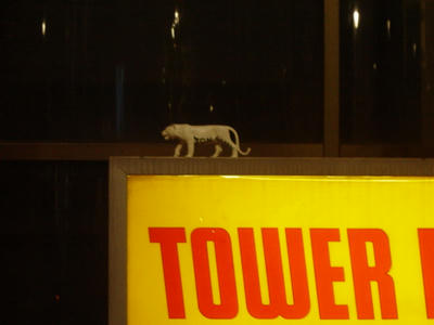 tower reco animal2