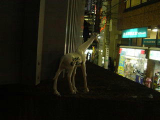 kirin