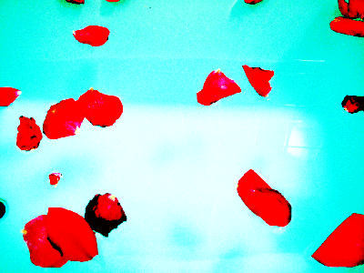 rosebath