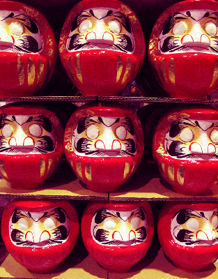 daruma