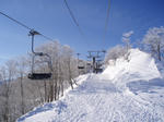 P1150009.JPG