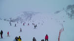 SANY0322_2.jpg