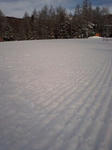 090121_0820~0001.jpg