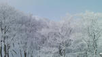 SANY0374i.jpg