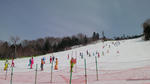 SANY0063_s.jpg