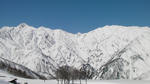 SANY0114_1.jpg