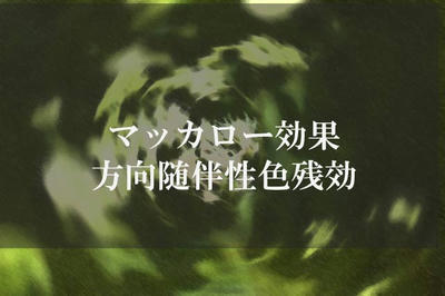 マッカロー効果 方向随伴性色残効