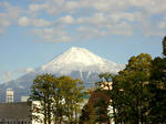 静岡出張写真3