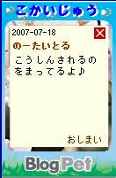 43.JPG