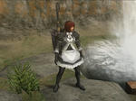 38ff12e9.jpg
