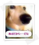 GetAttachment132561221.jpg