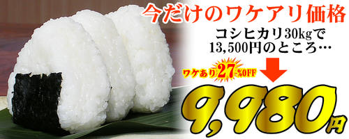 sinwa9980.jpg