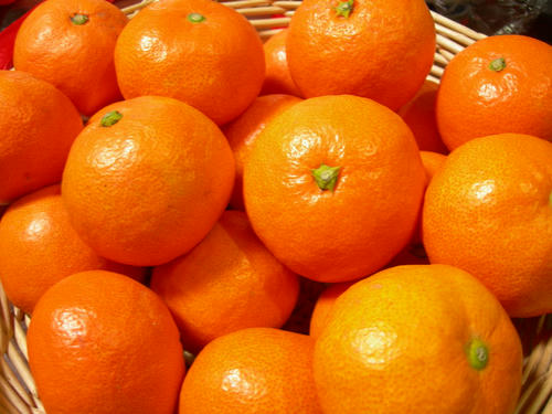 img55404373.jpg