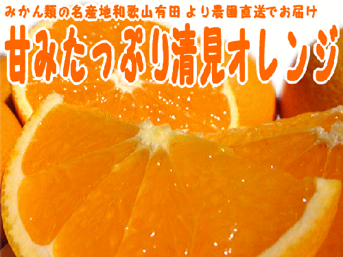 kiyomi-top-ry0.gif