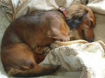 DSCN1312.jpg