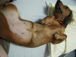 DSCN1319.jpg