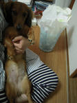 DSCN1379.jpg
