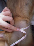 DSCN1376.jpg