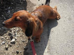 DSCN1384.jpg